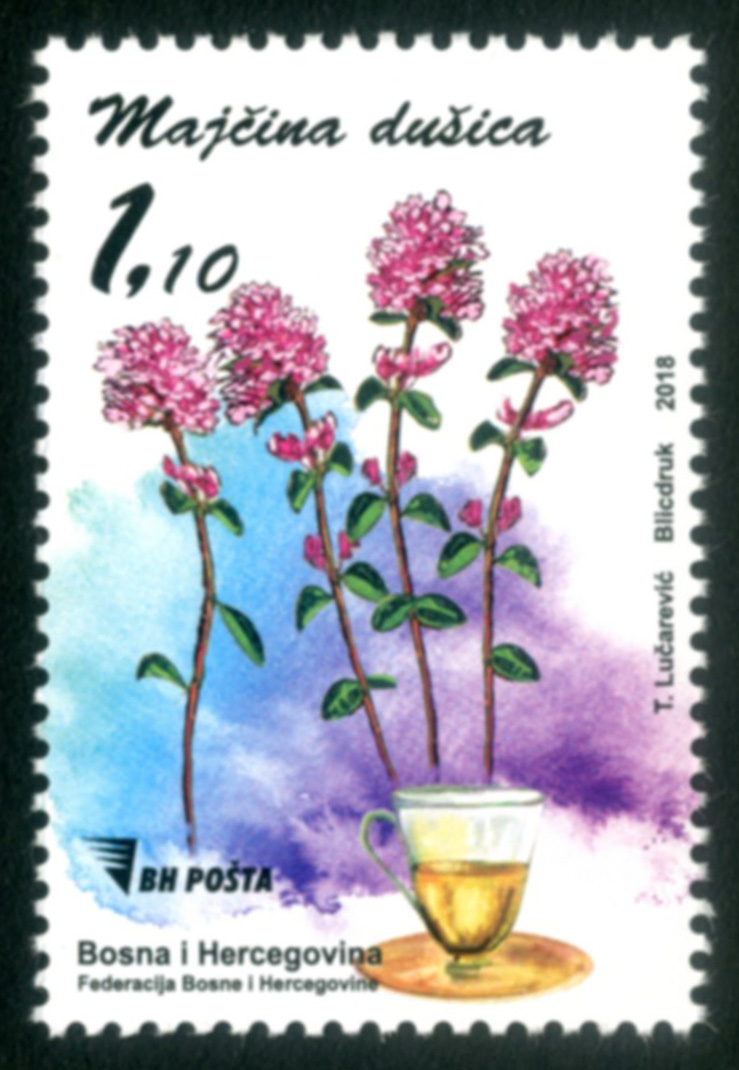 flora-terapeutic-herbs
